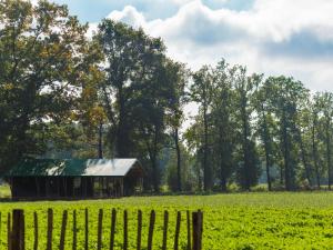 Luxury Lodge in Reesprong with Garden Fire Pit