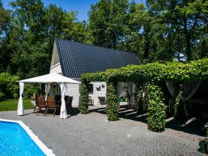 Villa in Drents-Friese Forest with Pool