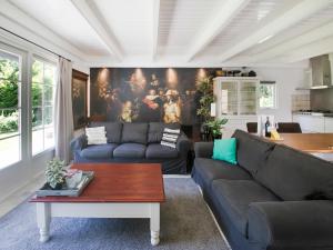 Villa in Drents-Friese Forest with Pool