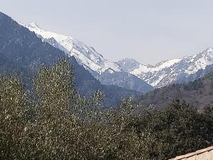 Appartements Fussatu - Les 2 Vallees : photos des chambres
