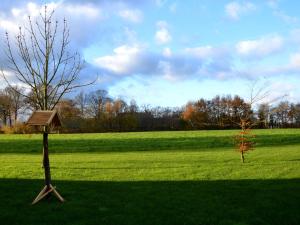 Staying in a thatched barn with bedroom Achterhoek