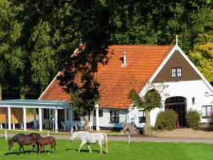 Chalet in Ootmarsum with Garden