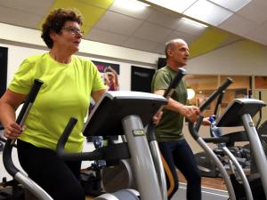 Chalet in Netherlands near Forest & Water