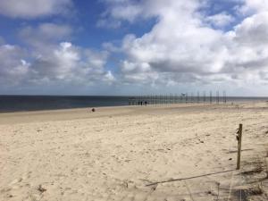 Pet-Friendly Texel Escape