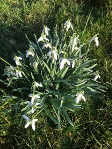 Fairview Bed and Breakfast