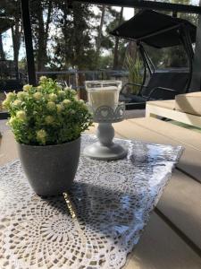 TOTAL ESCAPE Mobile Home BIANCA Camp Porton Biondi