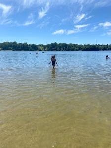 Maisons de vacances Gite La Rousseliere : photos des chambres