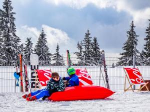 Ski Chalet Escape in Javorník