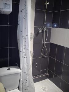 Apartament Kopernika