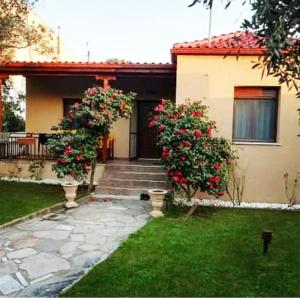 John and Tania's Garden Thassos Greece