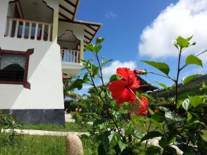 Zanboza Guesthouse
