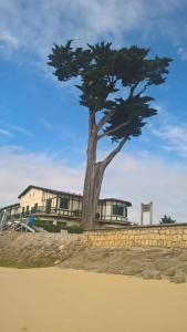 Maisons de vacances Les Calicots Sanguinet : photos des chambres
