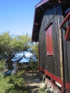 Maisons de vacances Les Calicots Sanguinet : photos des chambres