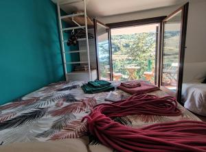 B&B Taccu Maccu img43