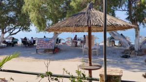 Thassos Hotel Grand Beach Thassos Greece