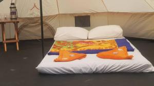 Lake Natron Maasai giraffe eco Lodge and camping