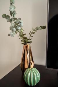 Lovely apartment in the city center