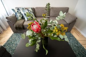 Lovely apartment in the city center