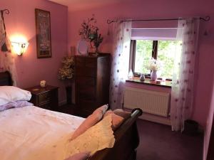 Converted Stone Barn -20 Acres - Farm Animals!