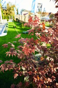 Boutique Hotel Casa Medievala