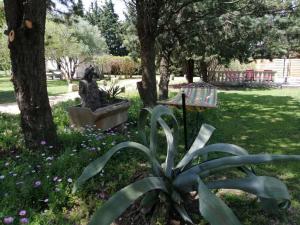 Maisons de vacances MAS MAURANE-Le Platane avec SPA prive aux portes d'ARLES : photos des chambres