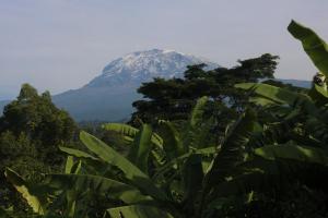 Shimbwe Meadows Home