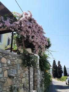 Holiday Dreamy Art Cottage with private courtyard and sea view Samos Greece