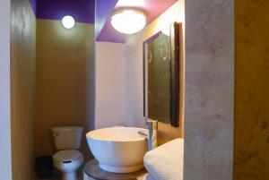 Hotel Platino