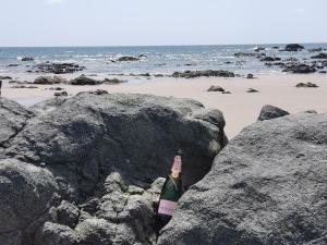 Ocean Breeze Cove - Luxury Retreat