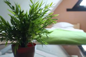 Apartamenty Centrum Zakopane