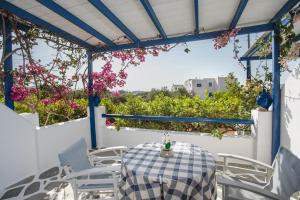 Apartment with Garden View