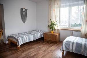 Apartament z widokiem