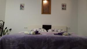 One-Bedroom Apartment room in Studio Apartments Dilberovic