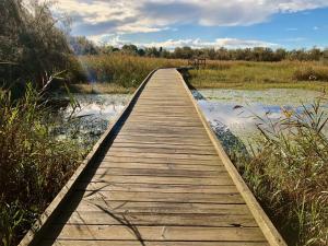 Bateaux-hotels Reves d'O en Camargue : photos des chambres