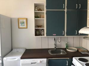 Yksiö 1 km jokirannasta föriltä 2 km torilta