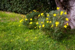 La Casa di Caterina: Nature,Relax and Private Garden Lefkada Greece