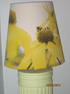 B&B / Chambres d'hotes Bed and Breakfast Paris Centre : photos des chambres