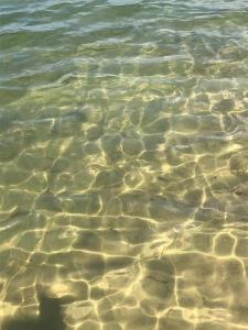 Leśna 6 - House with a garden