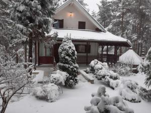 Vila President Divcibare