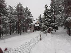 Vila President Divcibare