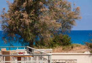 Aeriko Homes of Distinction Lefkada Greece