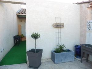 Appartements Chez Nine sur gite echarou : photos des chambres