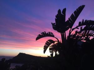 Appartements Villa les Alizes : photos des chambres