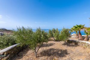 Aegean Dream Apartments Tinos Greece