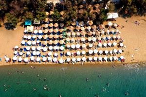 3BR Suite 300mts from the Beach