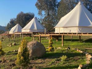 obrázek - Lago Valle Wine Glamping