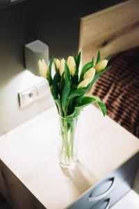 LOFT de luxe apartments