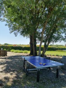 Maisons d'hotes Au Mas de Janita : photos des chambres