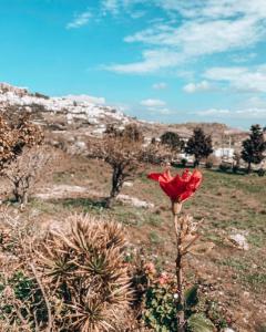 Villa Alexandra Patmos Greece