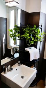 Decos Place Roma Zoe